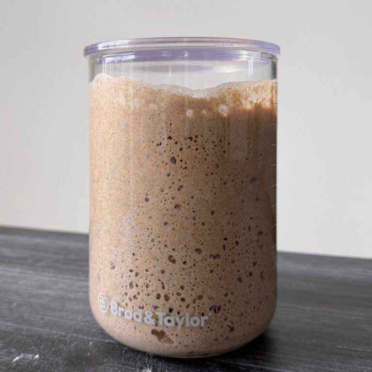 Rye Starter