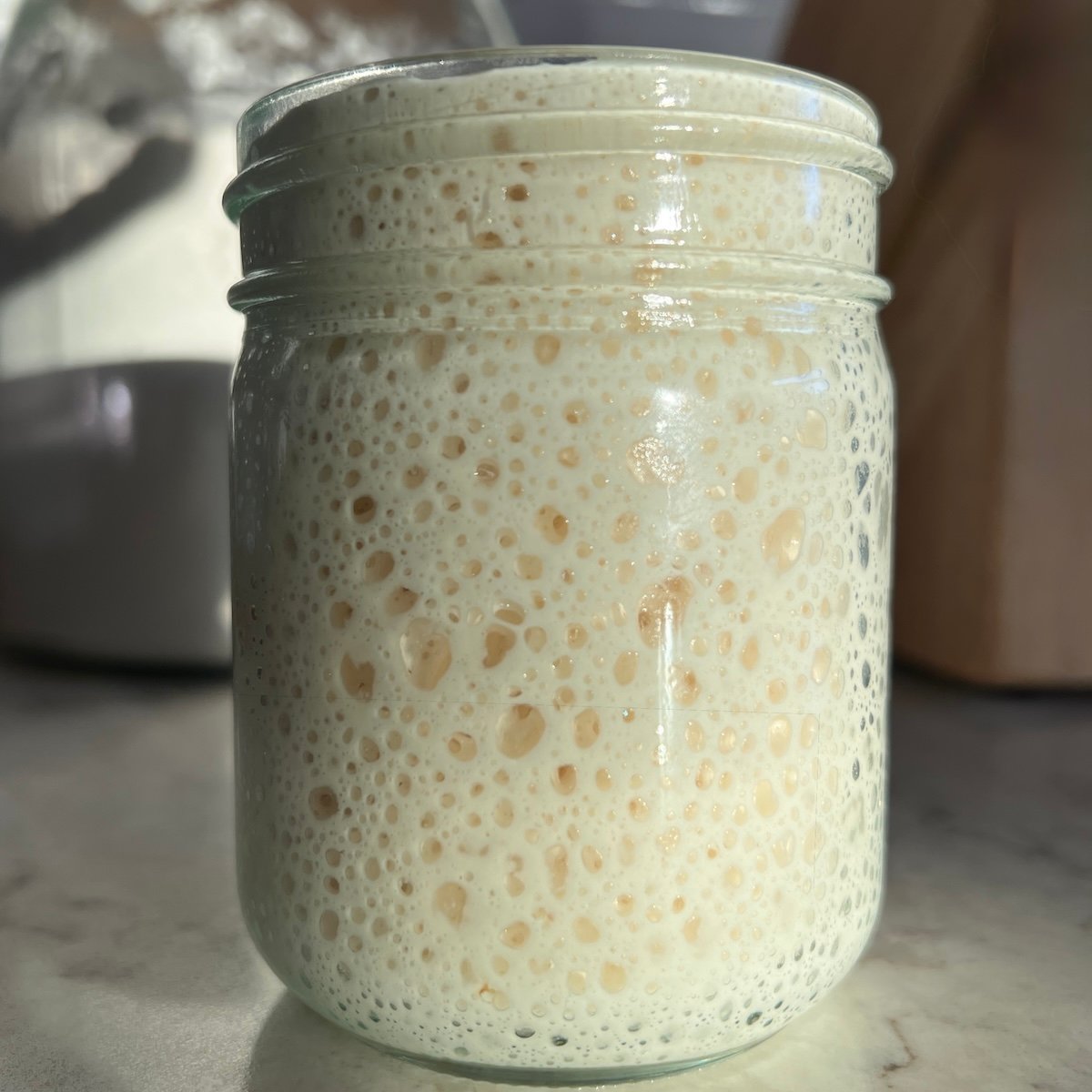 sourdough starter