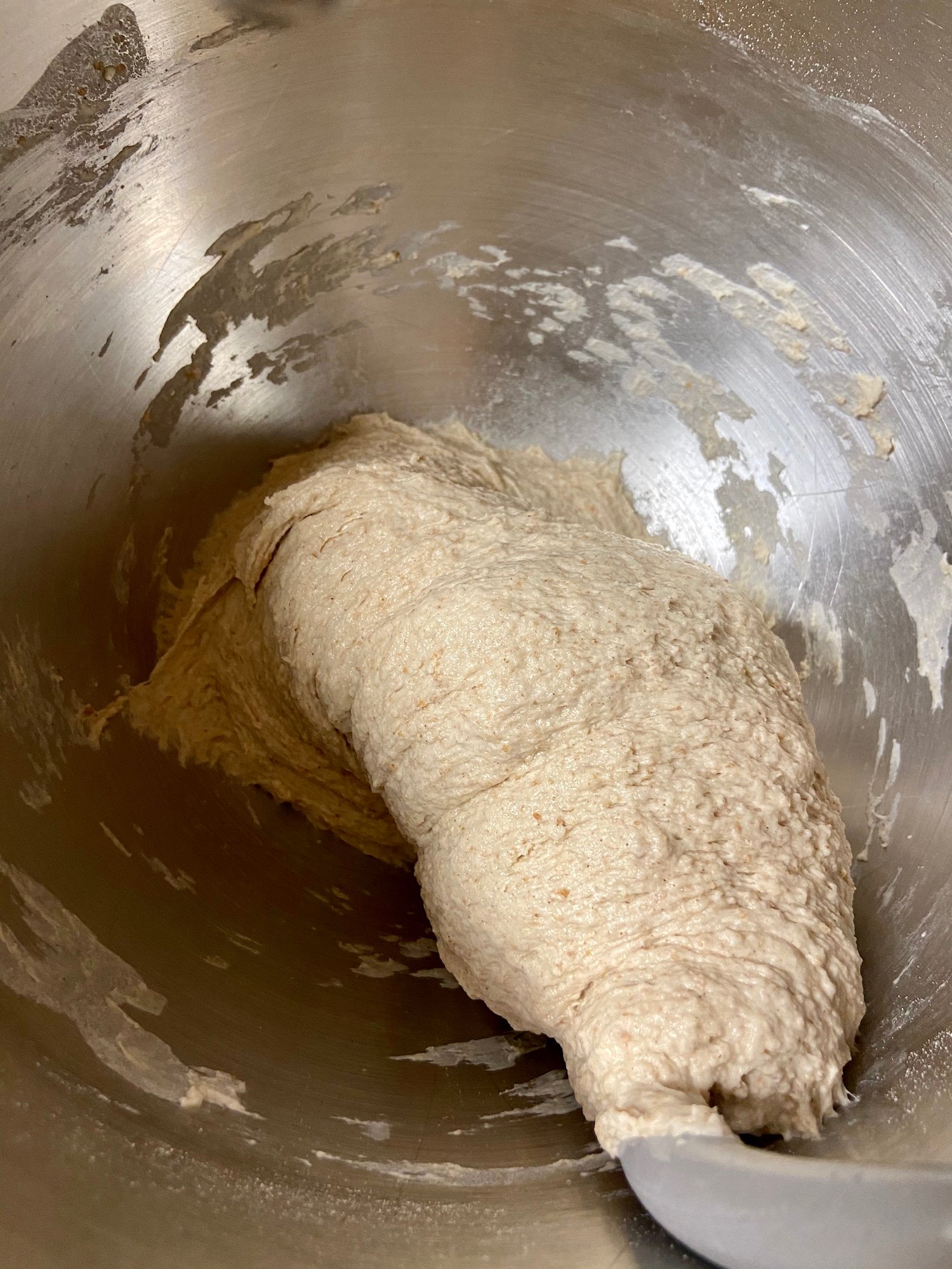 Ciabatta Dough