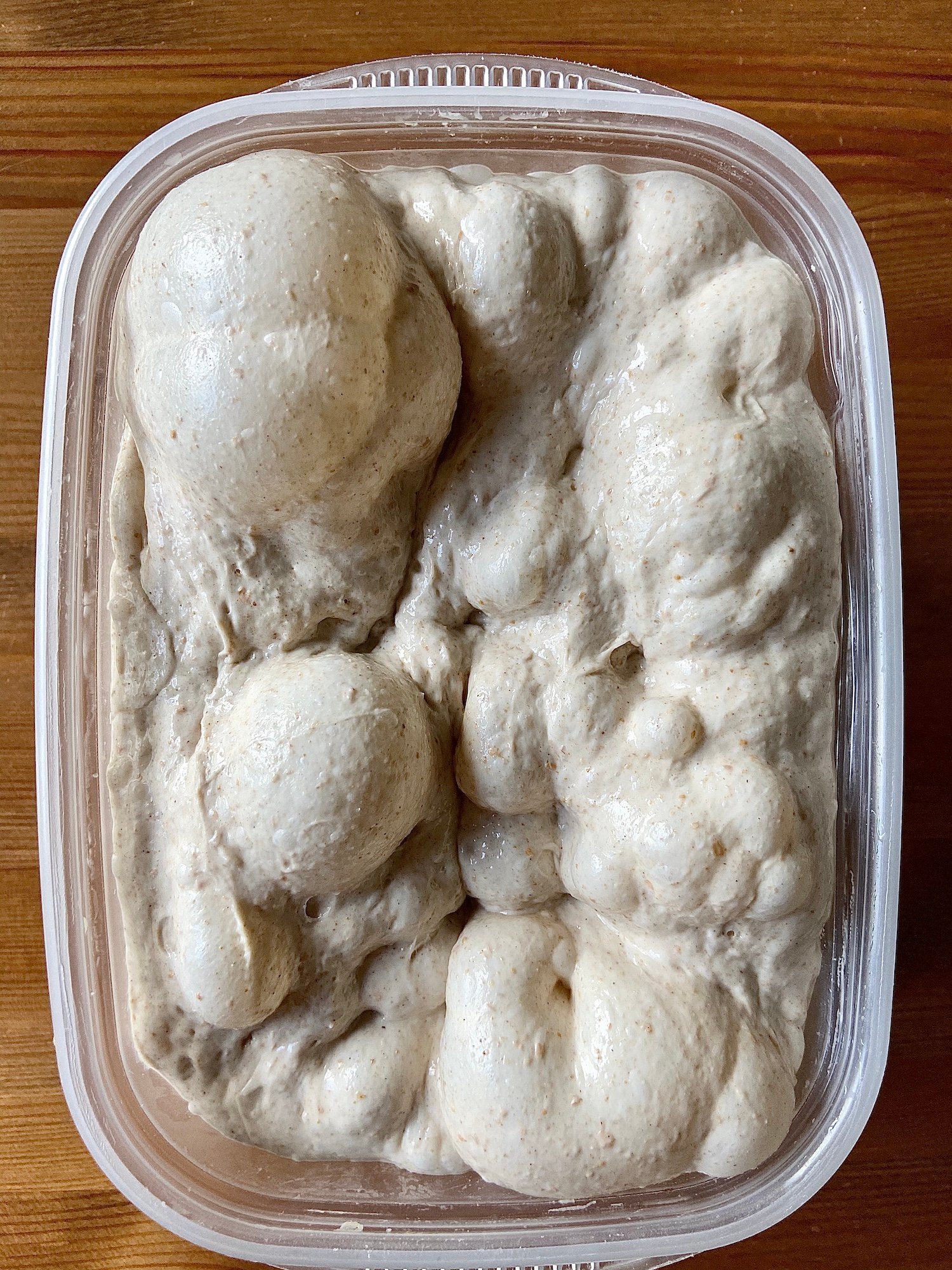 Ciabatta Proofed Dough