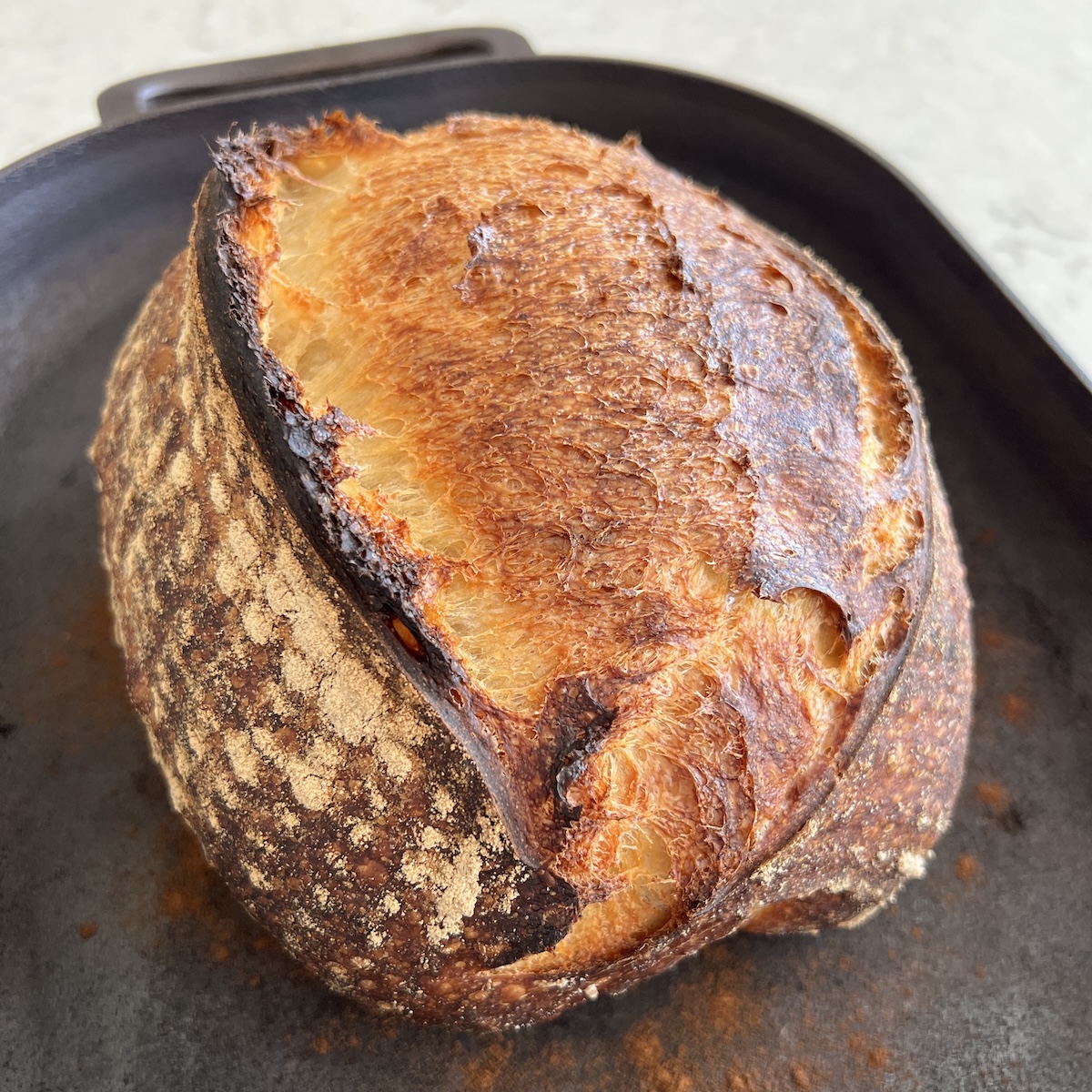 Sourdough Loaf The Perfect Formula