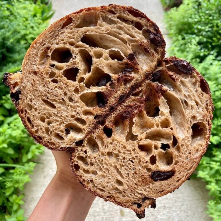 Dark Beer and Chocolate Chip Sourdough Bread