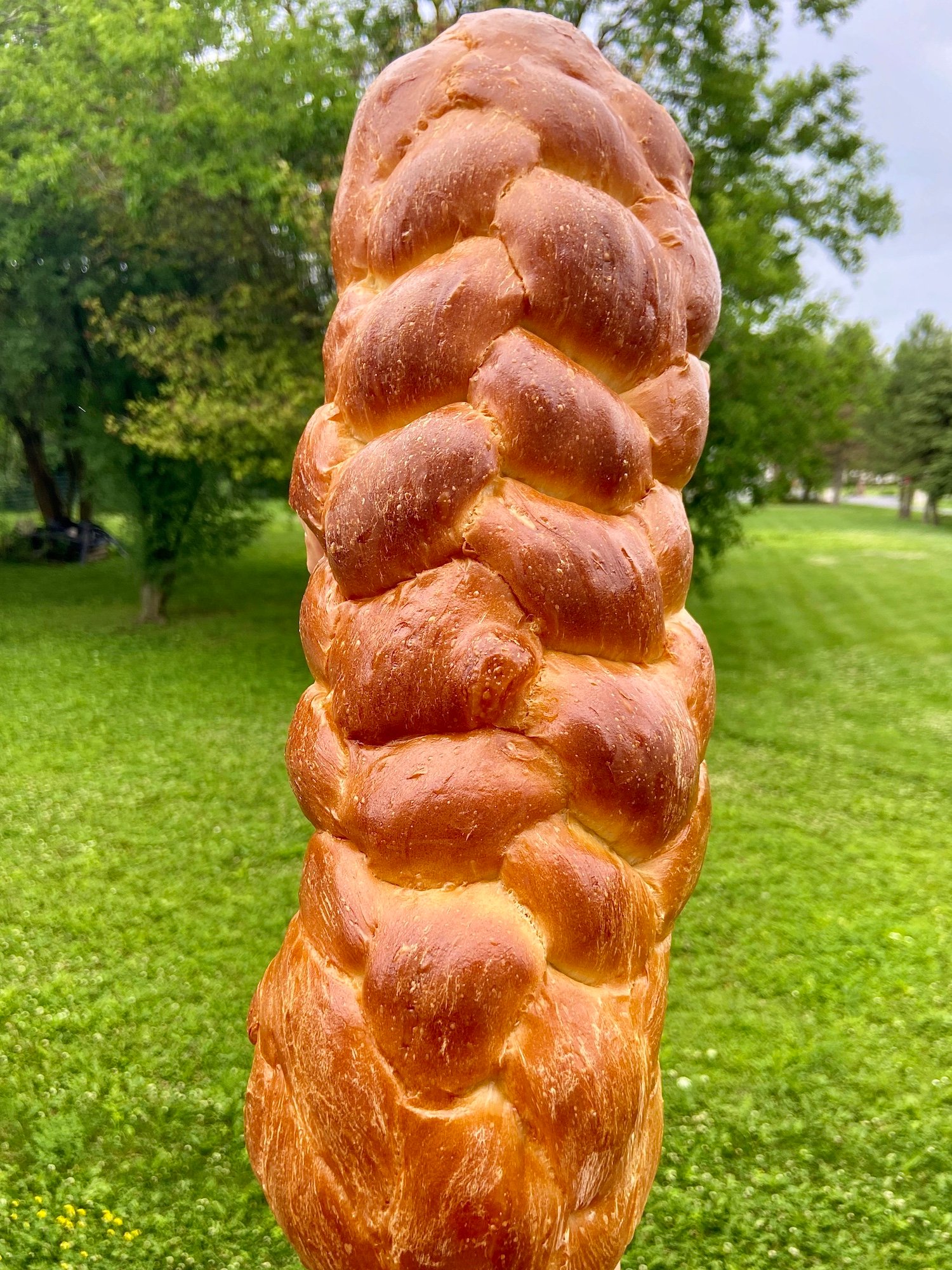Sourdough Challah bread