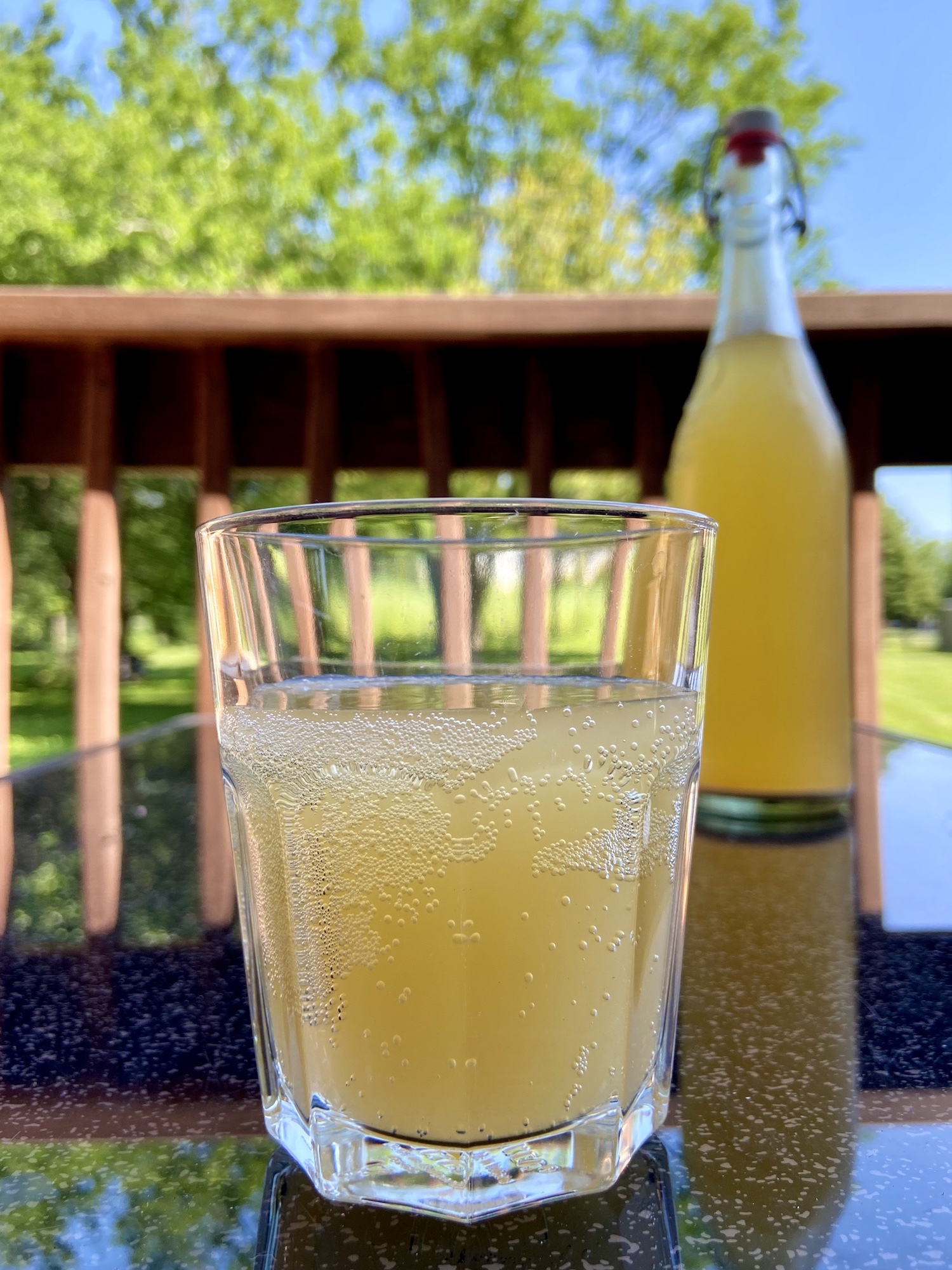 Kvass