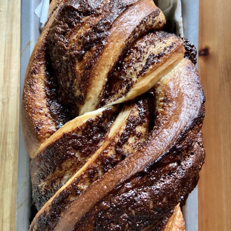 Chocolate Sourdough Babka