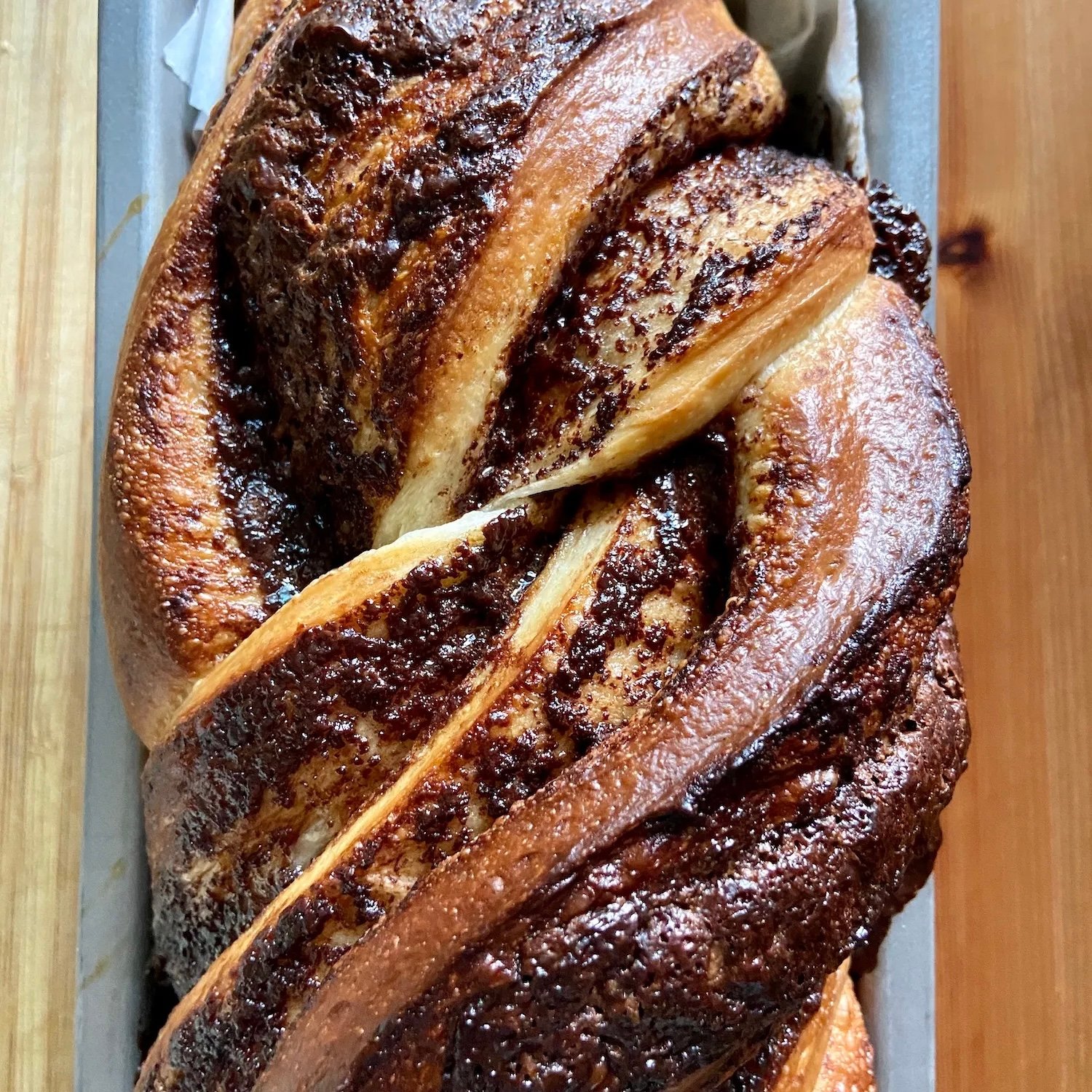 Chocolate Sourdough Babka