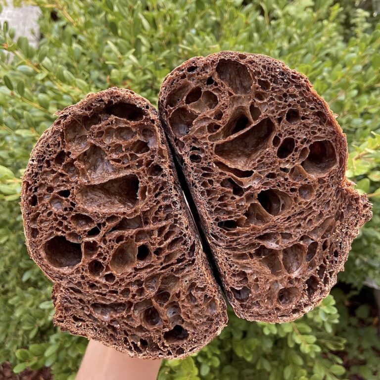 Chocolate Sourdough Bread