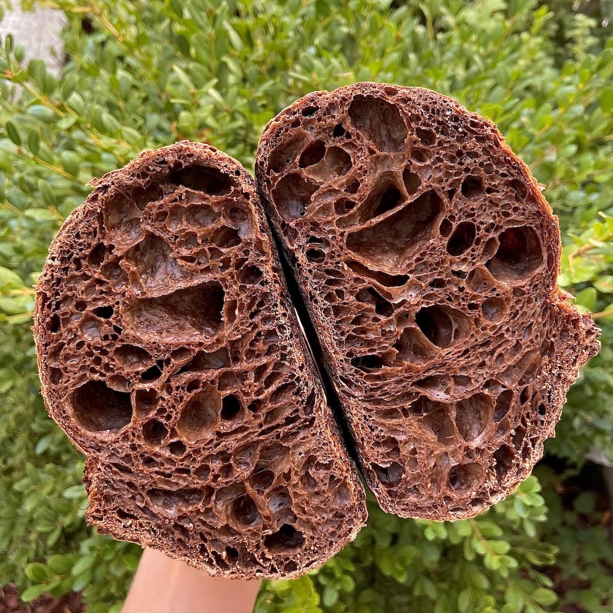 Chocolate Sourdough Bread