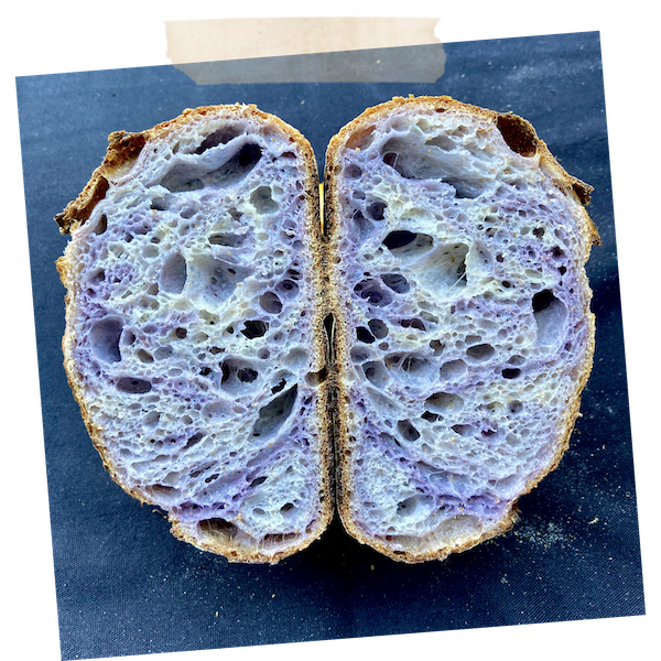 Sourdough Bread in the Ninja Foodi - Lavender and Lovage