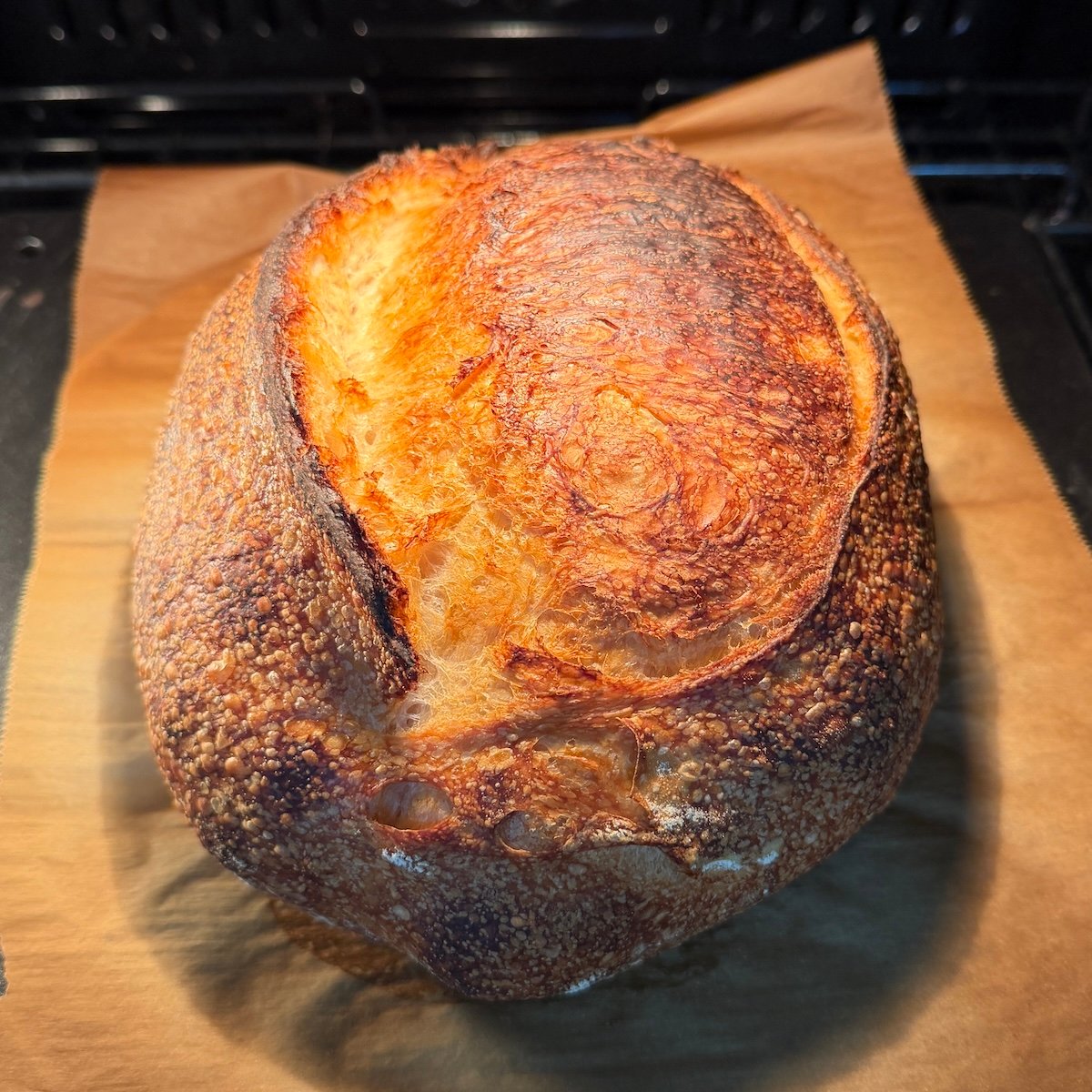 Sourdough Bread