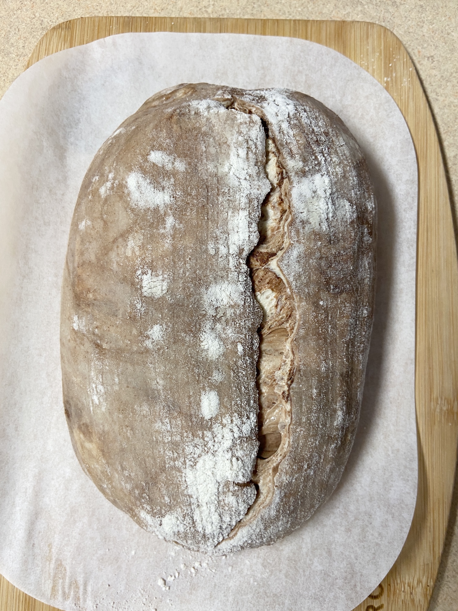 Hot Cocoa Sourdough Bread - Natasha's Baking