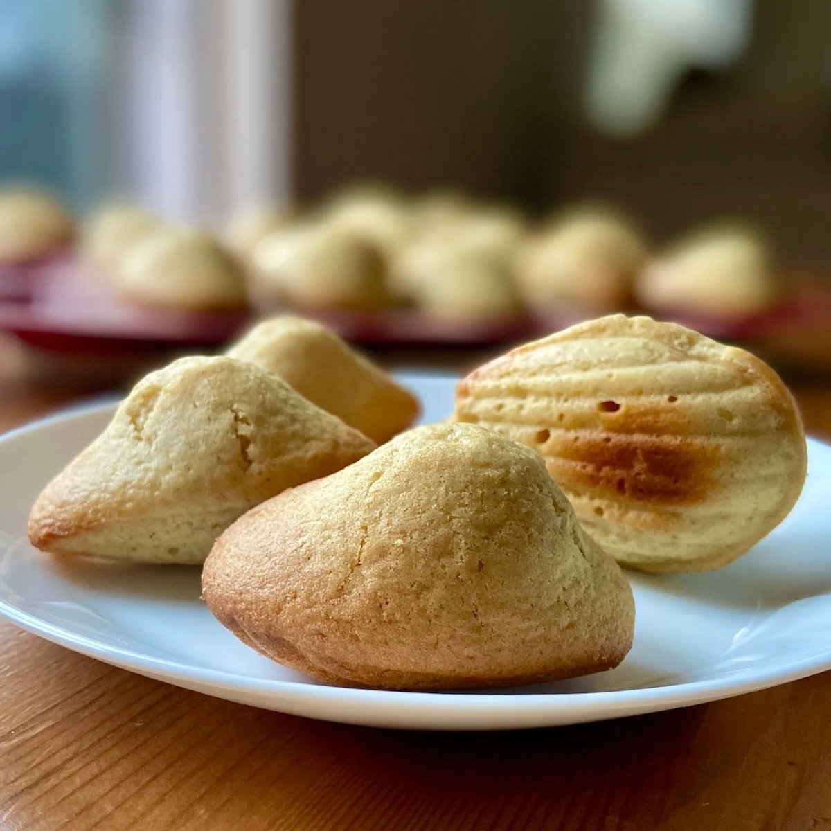 Madelines with Sourdough Discard