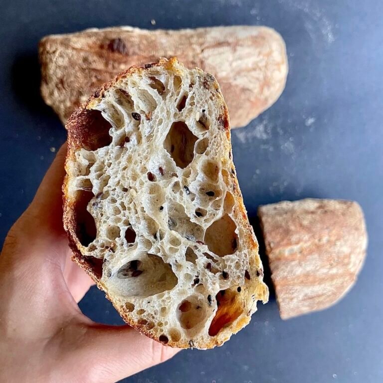 Seeded Sourdough Ciabatta