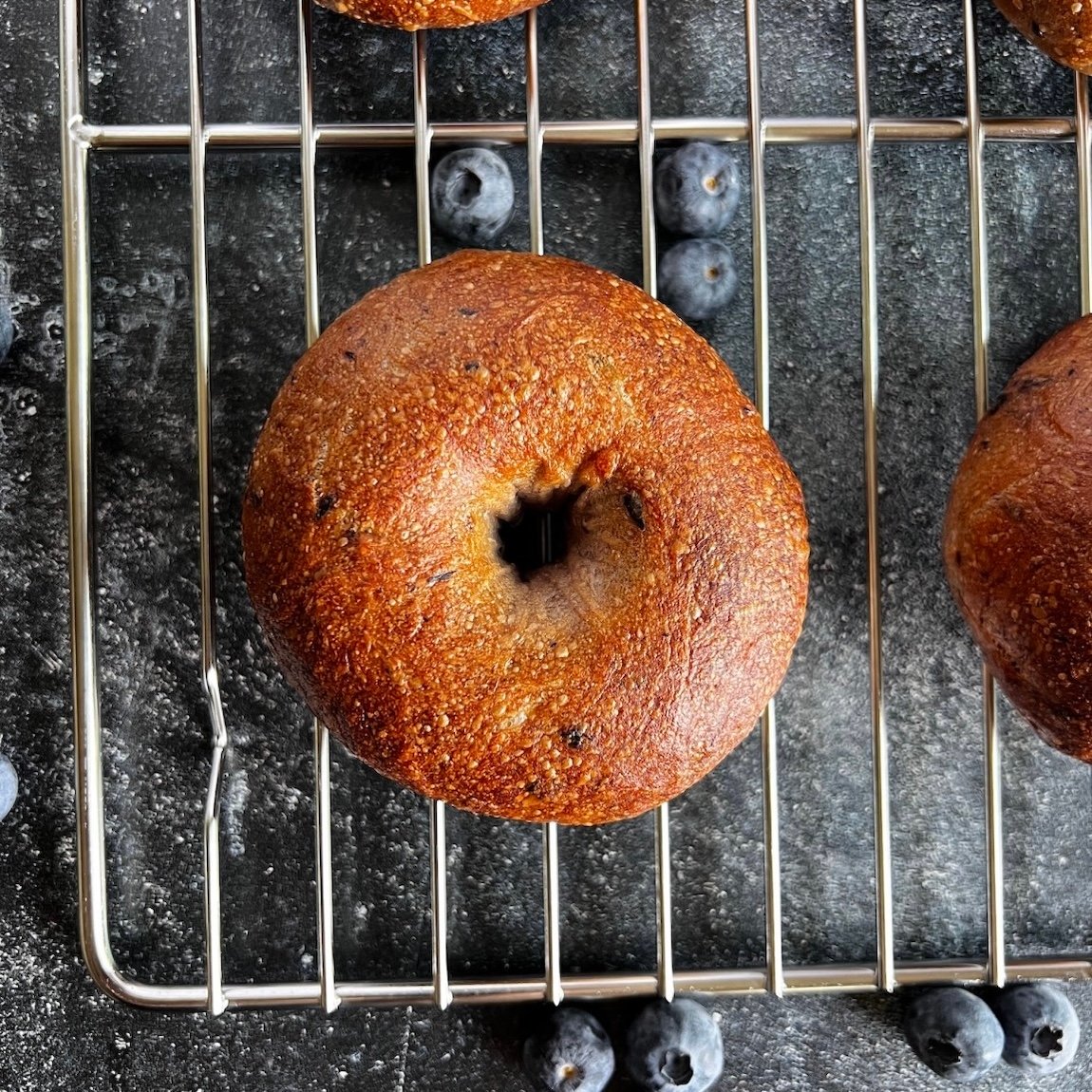 Blueberry Bagel