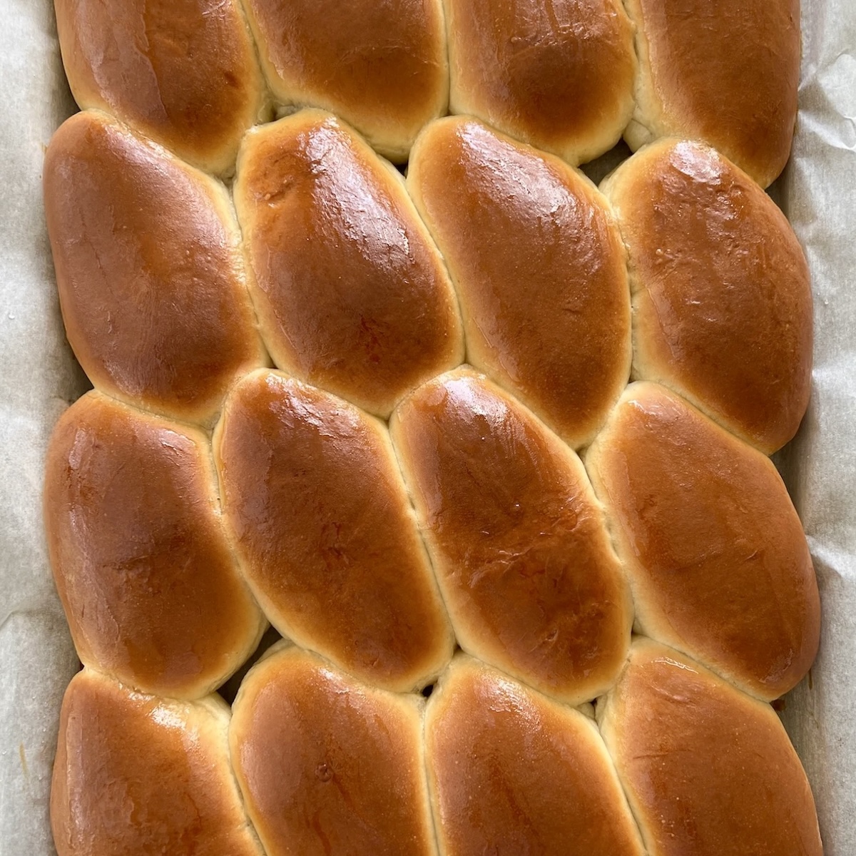 Baked Piroshki