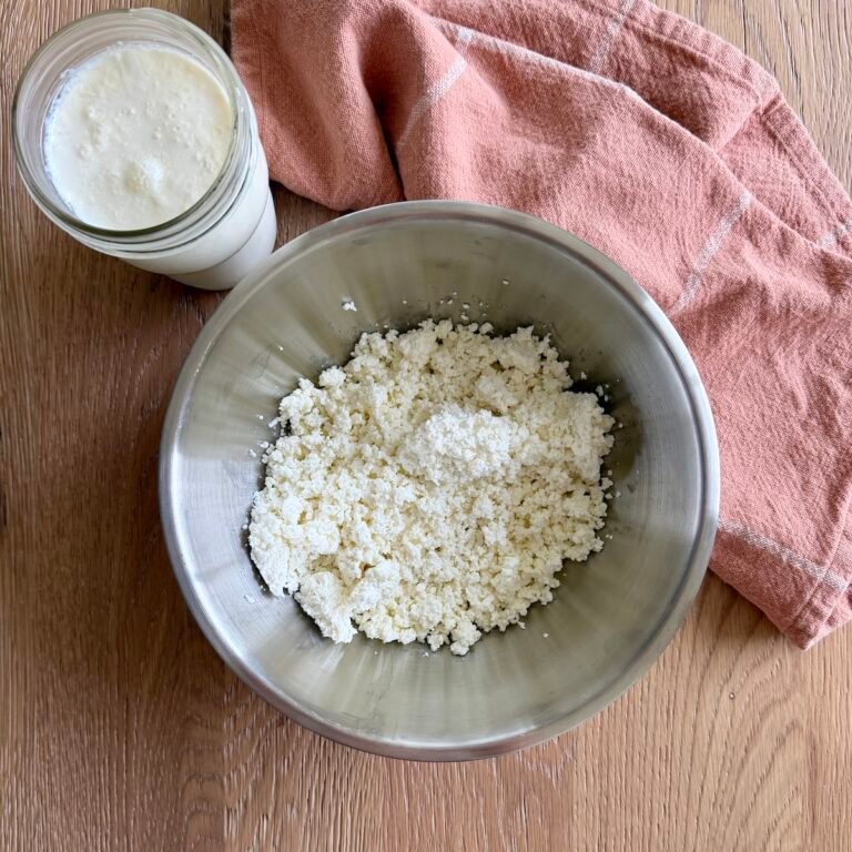 Homemade Farmer's Cheese
