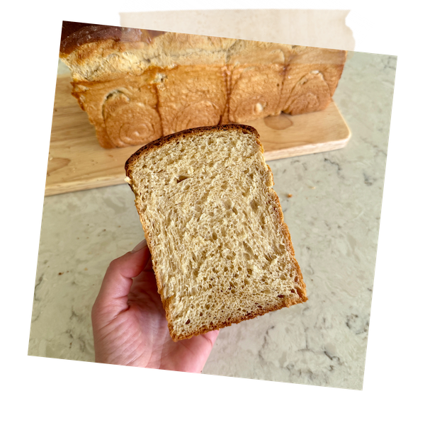 Whole Grain Brioche