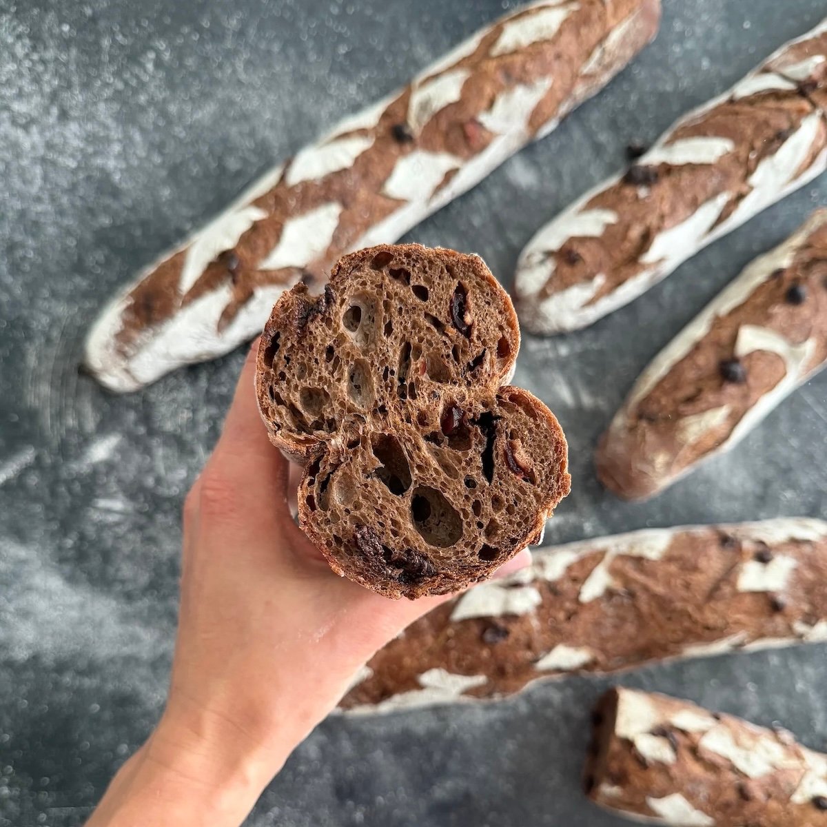 Chocolate Cranberry Baguette