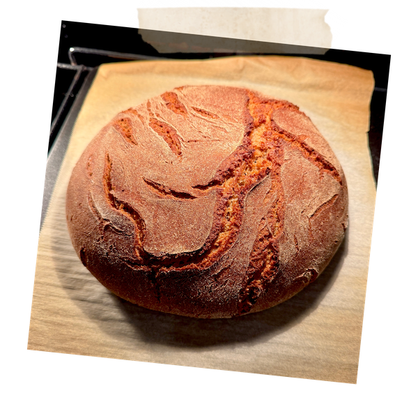 Rye Bread