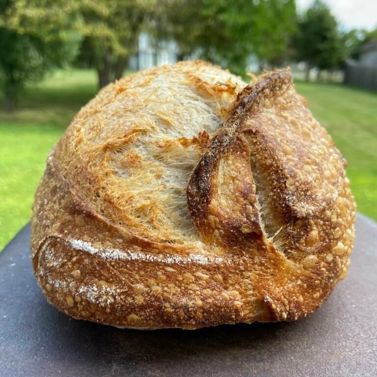 Semolina Sourdough Loaf